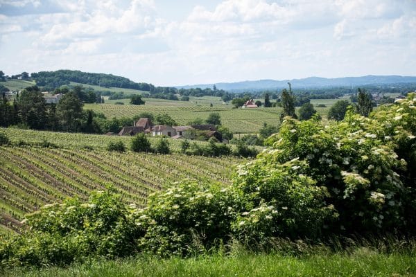 437 Fromagerie Picandine TIM1975 min