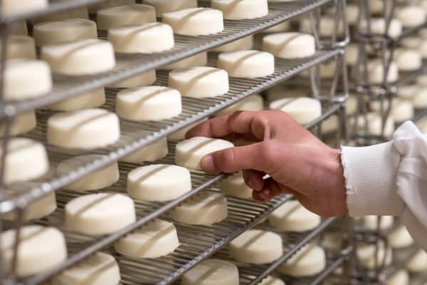 493 Fromagerie Picandine TIM2586 min