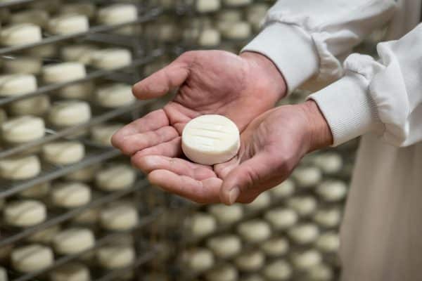 498 Fromagerie Picandine TIM2614 min